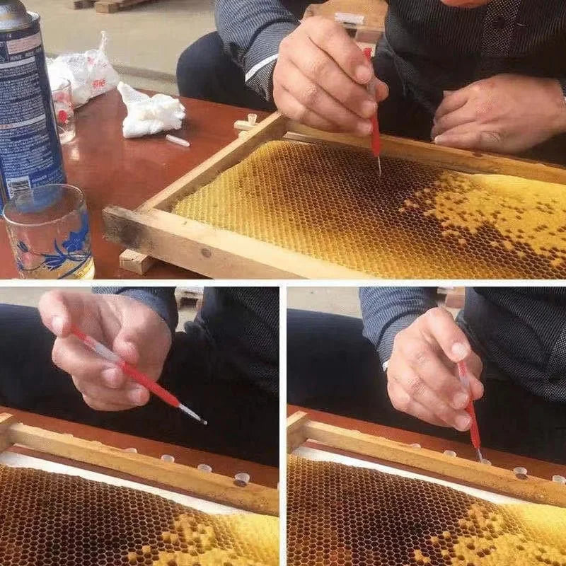Bee Larvae Grafting Pen Tool for Queen Rearing